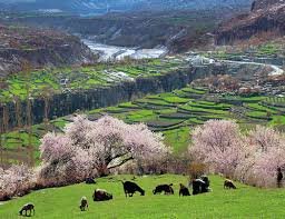 Hunza Valley